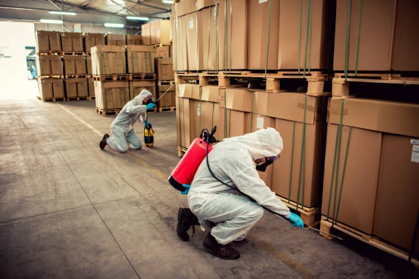 Best Mosquito Control Services  in Little Falls, NY