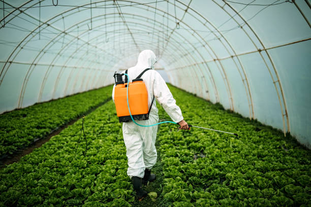 Best Pest Prevention Services  in Little Falls, NY