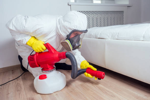 Best Commercial Pest Control Services  in Little Falls, NY