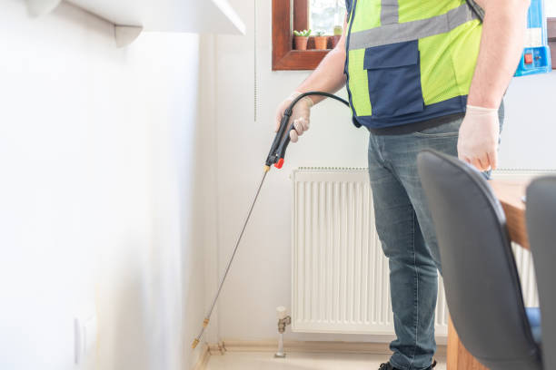 Best Best Pest Control Companies  in Little Falls, NY