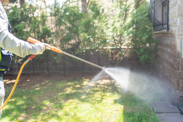 Best Termite Control Services  in Little Falls, NY